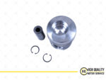 Piston With Ring STD For Deutz 02239482, FL 913, 102mm.
