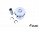 Piston with Ring STD For Lister Petter 570-35810, TX.