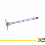 Inlet Valve For Deutz, 04170898, 1011.