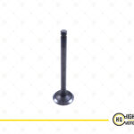 Inlet Valve For Mitsubishi, MM432143, L3E.