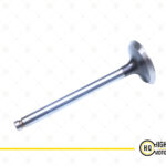 Inlet Valve For Perkins 3142D041, 1004.
